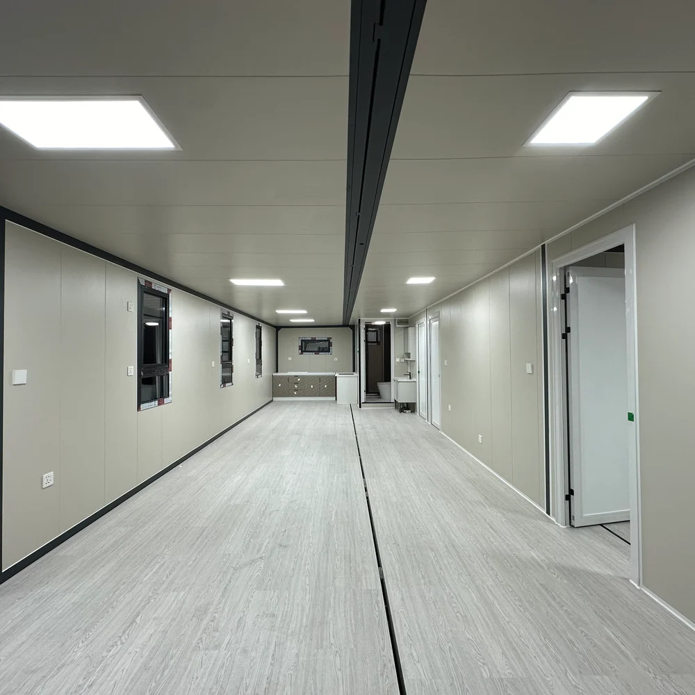 Unfurnished interior — pale flooring Long open interior with pale wood-look flooring, side windows and several doorways.